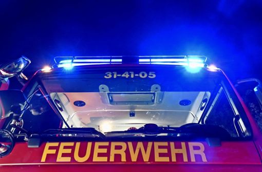 Die Feuerwehr in Hirschlanden will nicht mit der in Schöckingen fusionieren. Foto: dpa