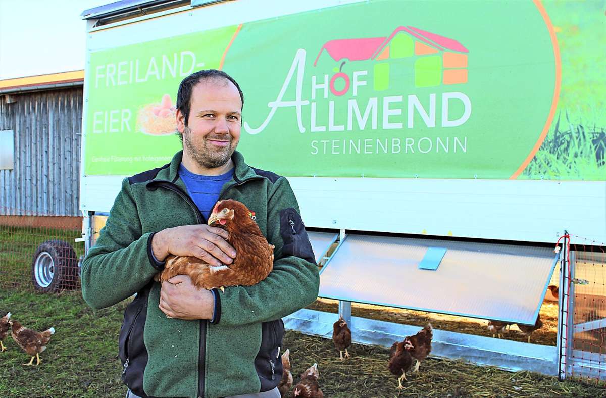 Insgesamt 240 Hennen und drei Hähne leben im vollautomatisierten, mobilen Hühnerstall von Werner Elsäßer. Foto: Caroline Holowiecki
