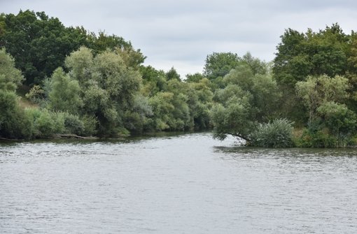 Die Flussmündung der Jagst (links) in den Neckar bei Bad Wimpfen (Baden-Württemberg. Foto: dpa
