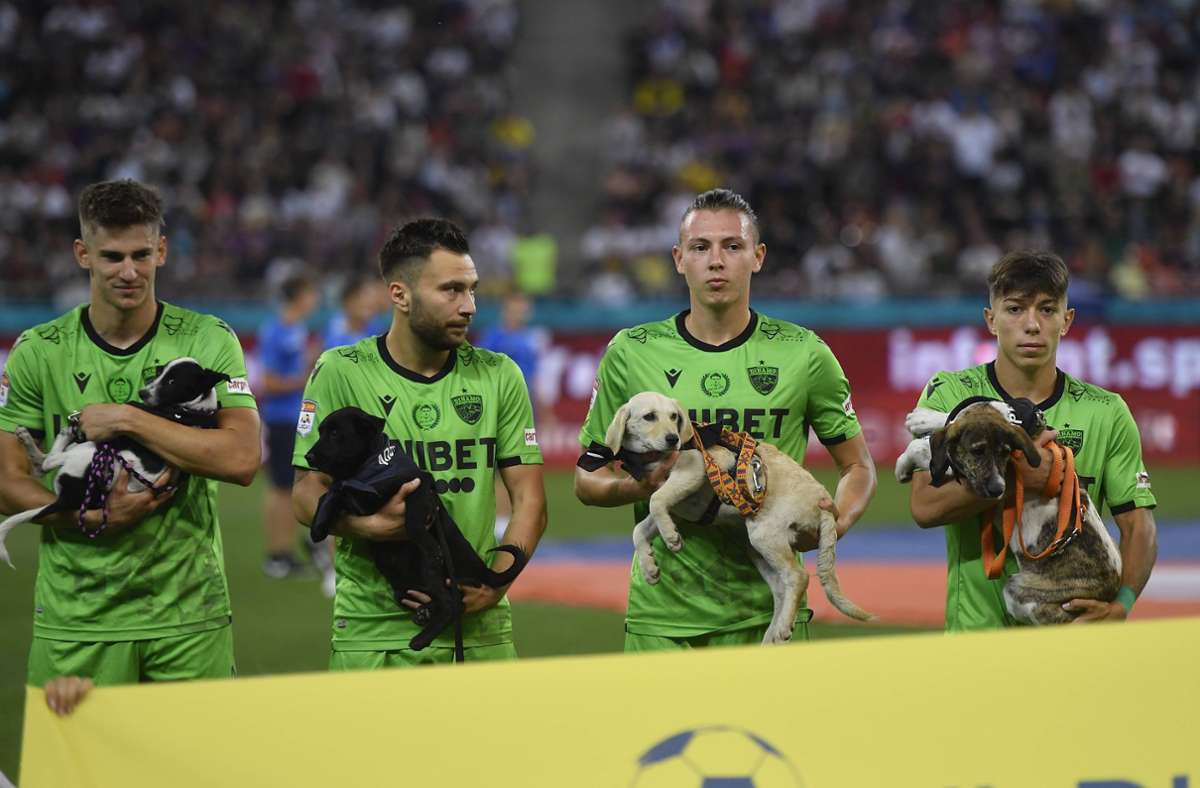 Spieler des Erstligisten Dinamo Bukarest tragen die Hunde ins Stadion. Foto: imago images/NurPhoto/Alex Nicodim