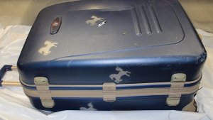 Der Koffer mit den Rössle-Symbolen Foto: Polizei