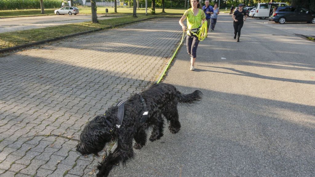 Mantrailing in Ludwigsburg: Wenn der Hund sagt, wo es lang geht