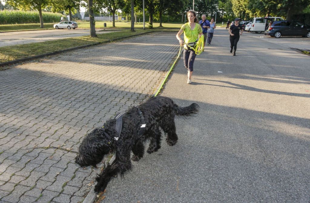 Im Team spüren die Autorin und ihr Hund die gesuchte Person auf. Foto: factum/Bach