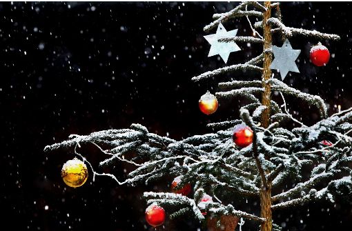 „O Tannenbaum, o Tannenbaum, du kannst mir sehr gefallen! Wie oft hat nicht zur Weihnachtszeit ein Baum von dir mich  hoch erfreut!“ Foto: dpa