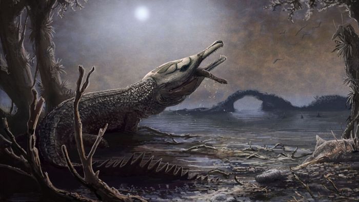 Krokodil nach Motörhead-Gründer benannt