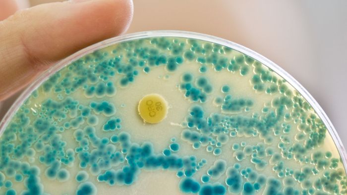 Super-Bakterium breitet sich weltweit rasend aus