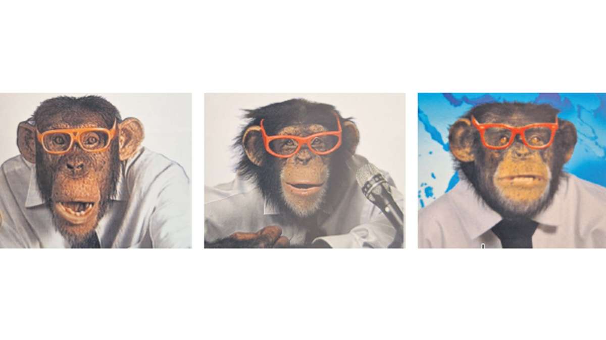 Das - Werbespot Kultiger Schimpansen: Wirtschaft mit den um Rätsel Trigema-Affen