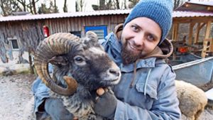 Die Jugendfarm  hat nach dem Diebstahl zweier Schafe von einem Züchter zwei neue geschenkt bekommen. Hier krault Michael Thomas den Bock Carlo Foto: Holowiecki