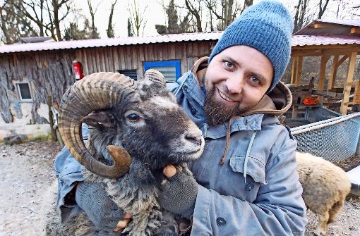 Die Jugendfarm  hat nach dem Diebstahl zweier Schafe von einem Züchter zwei neue geschenkt bekommen. Hier krault Michael Thomas den Bock Carlo Foto: Holowiecki