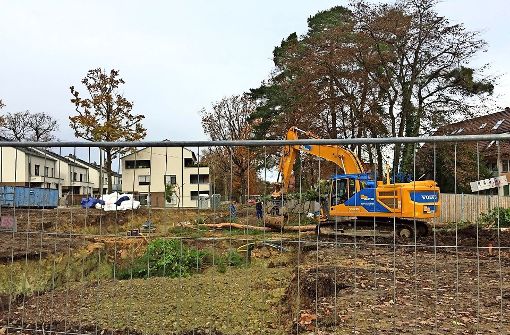Mit einem Bagger wurden einige Bäume auf der Baustelle an der Rohrer Höhe abgerissen. Foto: privat / z
