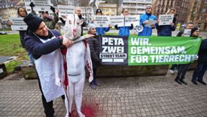Schäferei in Eberdingen soll illegal Schafe geschächtet haben