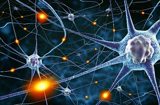 Spezielle Nervenzellen, sogenannte Nozizeptoren, empfangen ein Schmerzsignal und leiten es über eine Synapse im Rückenmark an das Gehirn weiter. Dort erst entsteht die eigentliche Schmerzempfindung. Foto:Fotolia/adimas Foto:  