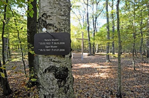 Ein Musterschild ist im Friedwald im Biosphärenreservat bei Dessau-Roßlau an einem Baum befestigt Foto: dpa