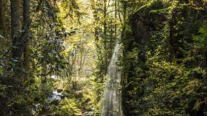 Hochschwarzwald –  Reiseziel wie  aus einem Bilderbuch