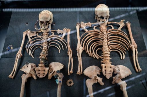 Das Foto zeigt zwei Opfer der Pest im 14. Jahrhundert aus einem Doppelgrab in Deutschland. Foto: Fabian Strauch/dpa