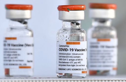 Impfstoff gegen das Coronavirus des Herstellers Sinovac (Symbolbild). Foto: AFP/LILLIAN SUWANRUMPHA