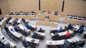 Die Wahlperiode des alten Landtags dauert nur noch wenige Wochen. Der am 14. März neu gewählte  Landtag will sich am 11. Mai konstituieren. Foto: dpa/Sebastian Gollnow