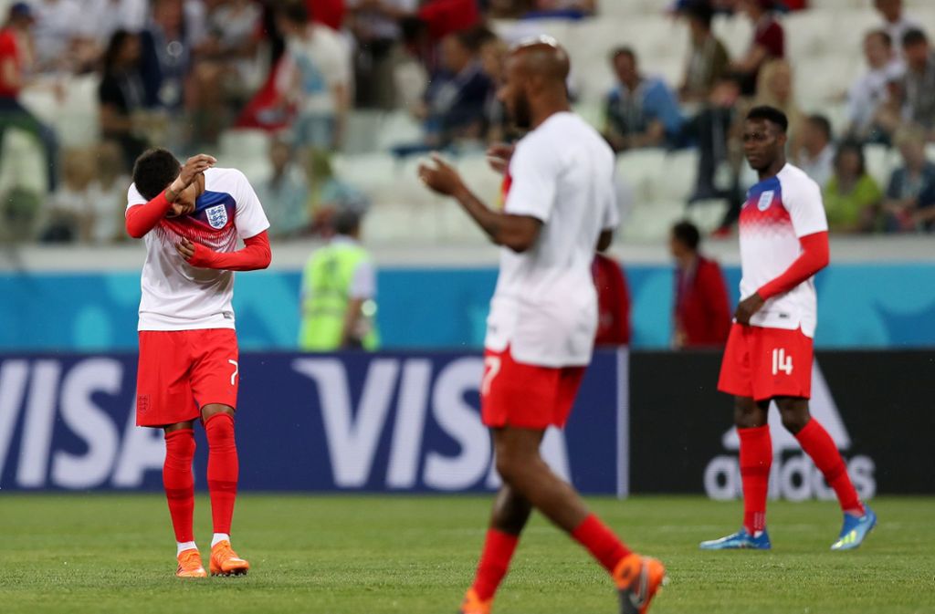 Die Fußballer aus England und Tunesien hatten beim WM-Spiel in Wolgograd mit Mücken zu kämpfen.