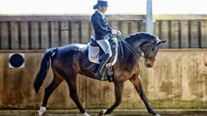 In  acht Wettbewerben werden Reiter und Pferde ihr Können zeigen. Foto: Archiv (avanti)