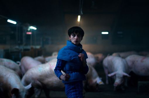 Showdown im Schweinestall Foto: Courtesy of Netflix/Photo Credit: Magnus Nordenhof J