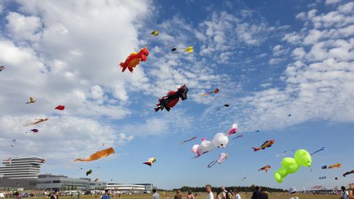 Der Wind ist optimal fürs Drachenfest. Tausende Besucher strömen auf den Flugplatz in Malmsheim. Foto: alle LKZ/Otto