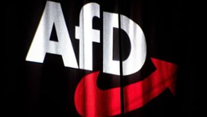 Nach AfD-Rauswurf aus ID-Fraktion Warnungen vor Rechtsaußen-Partei