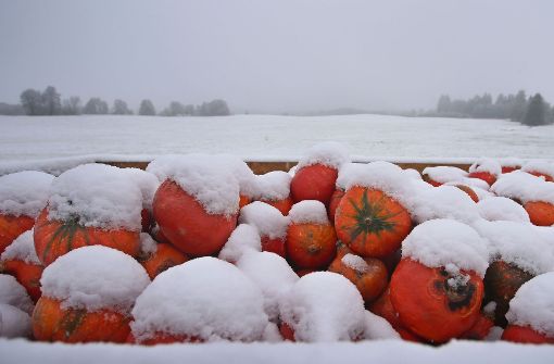 In Bayern hat es am Wochenende den ersten Schnee gegeben (Foto), in Stuttgart und der Region müssen Autofahrer sich eher auf gefrierende Nässe einstellen. Foto: dpa