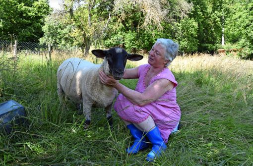 Madeleine Schlitzers Schafe sind so zutraulich, weil sie von Hand aufgezogen wurden. Burak ist besonders verschmust. Foto: Alexandra Kratz