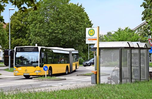 Welcher Bus  durch die Märchensiedlung fährt und welcher bis zum Fasanenhof ist für den Fahrgast von außen nicht erkennbar. Foto: Archiv Alexandra Kratz