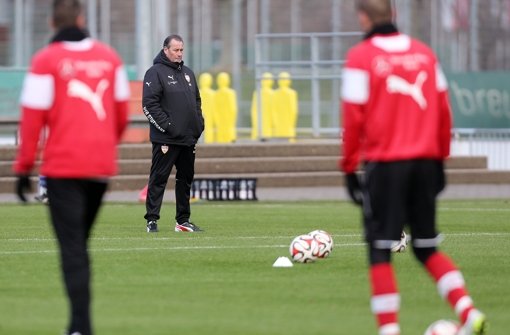 VfB-Trainer Huub Stevens auf dem Trainingsplatz Foto: Pressefoto Baumann