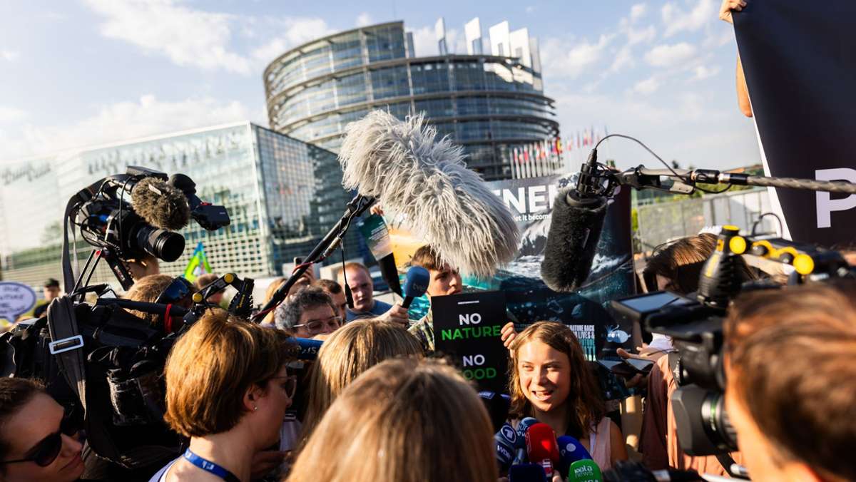 Debatte in Straßburg: Unterstützung für Europas Grüne von Greta Thunberg