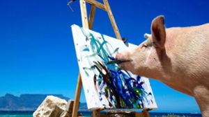Pigcasso heißt das Schwein, das mit seinen Gemälden gerade den Kunstmarkt erobert. Foto: Swatch