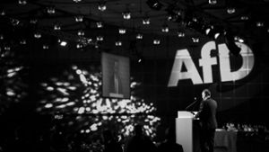 Bei der AfD hat der Bundesparteitag in Hannover viele Fragen aufgeworfen. Foto: Getty Images Europe