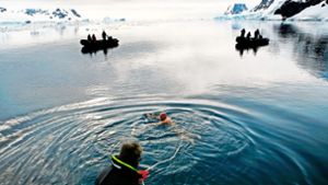 Die Antarktis hautnah erleben