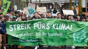 Klimaproteste können gesellschaftliche Veränderungen auslösen. Fridays for Future ist es gelungen, Massen zu mobilisieren. Das prägt die Debatte bis heute. Foto: Imago Images / MiS/Marcel MŸcke/M.i.S.