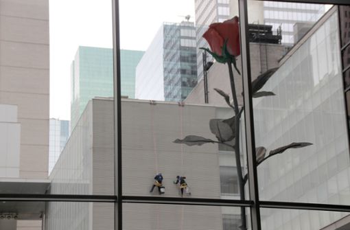 Im Oktober 2019 prangte eine langstielige rote Rose  an der Fensterfassade des Museums of Modern Art (MoMA) in New York, seit März war es wegen Corona geschlossen. Nun öffnet es wieder. Foto: dpa/Christina Horsten