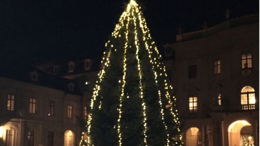Der meterhohe Baum ziert bald den Schlosshof. Foto: Schloss