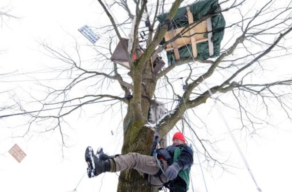 Eiskaltes Engagement: Ein Aktivist der Umweltschutzorganisation Robin Wood klettert in einem Baum in Hamburg. Aktivisten der Umweltschutzorganisation halten seit Mitte Dezember 2009 mehrere Bäume besetzt, um zu verhindern, dass diese gefällt werden.