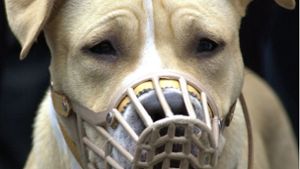 Haftbefehle wegen Hundeattacke