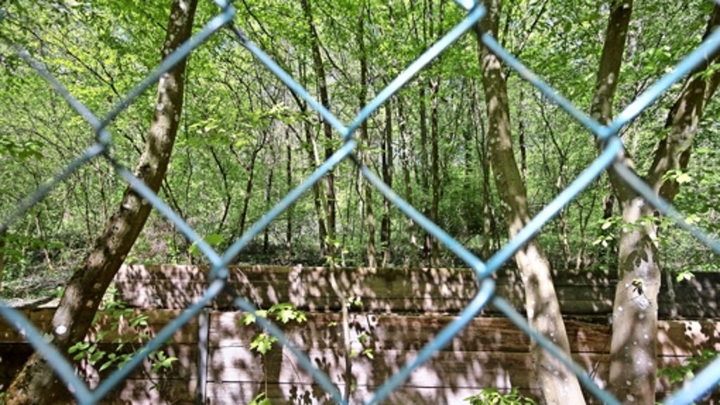 Schadstoffe an ehemaliger Mülldeponie Poppenweiler: Altlasten am Lemberg  werden  teurer