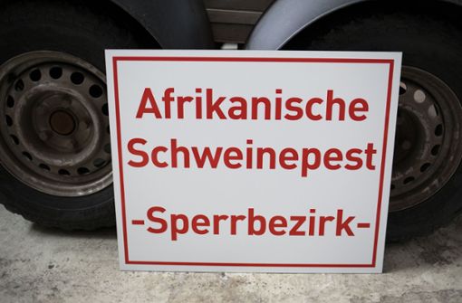 Deutschland blieb bislang von der Afrikanischen Schweinepest verschont. Foto: dpa