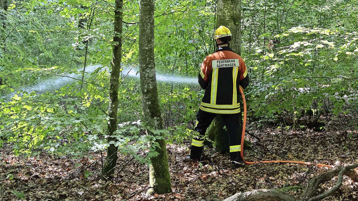 Feuerwehren im Kreis Böblingen: Im Ernstfall gemeinsam gegen den Waldbrand