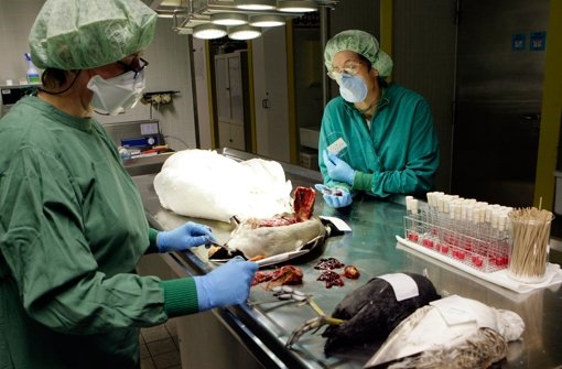 Eine Kanadierin, die China besucht hatte, ist Anfang des Jahres an den Folgen der Infektion mit dem Volgegrippe-Virus gestorben, teilte nun das kanadische Gesundheitsministerium mit. Foto: dpa/Symbolbild
