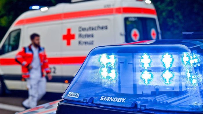 Rollerfahrer in Filderstadt verletzt