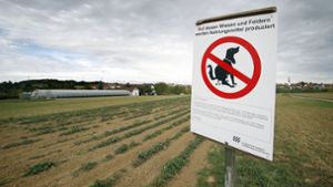 Landet der Hundekot auf den Feldern, werden im Zweifel Nahrungsmittel wie Erdbeeren (Bild) verunreinigt. Foto: /factum/Simon Granville