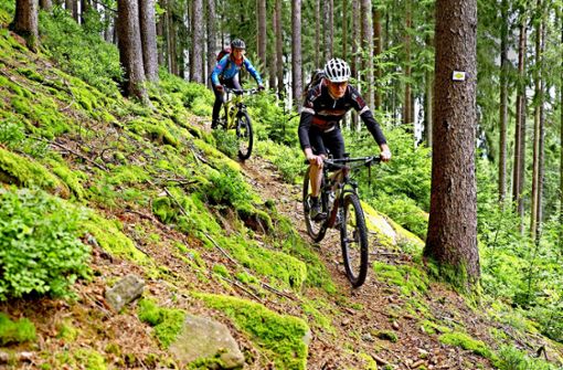 Zwei Mountainbiker fahren auf einem Trail in Baiersbronn, das bekannt ist für sein großes Wegenetz. Foto: Ronald Jacobs/Schwarzwald Tourismus