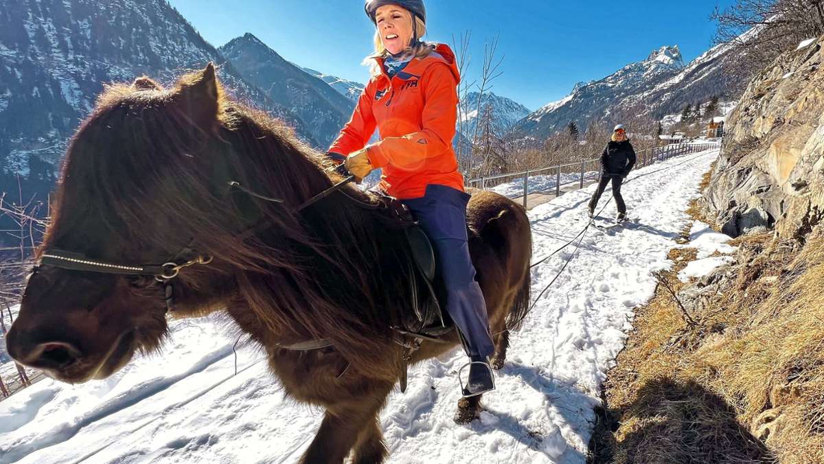 Skifahren mit Pferd: Was ist eigentlich Skijöring?