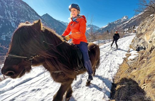 Island-Ponys nehmen  wacklige Skifahrer an langen Zügeln  ins Schlepptau. Foto: Edward Bekker