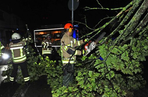 In Fellbach, aber auch anderswo im Kreis mussten Feuerwehr und Polizei wegen umgestürzter Bäume ausrücken. Foto: Alexander Ernst