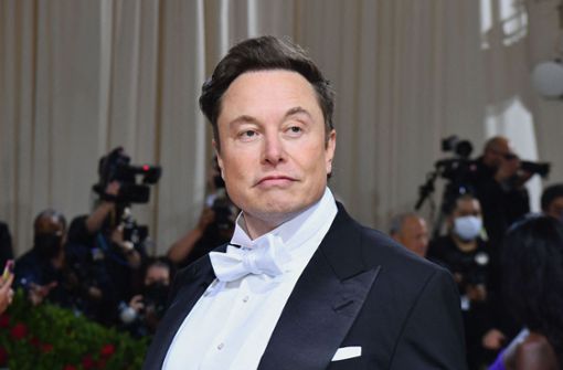 Tesla-Chef Elon Musk nutzt Twitter als seine Plattform. Foto: AFP/ANGELA WEISS